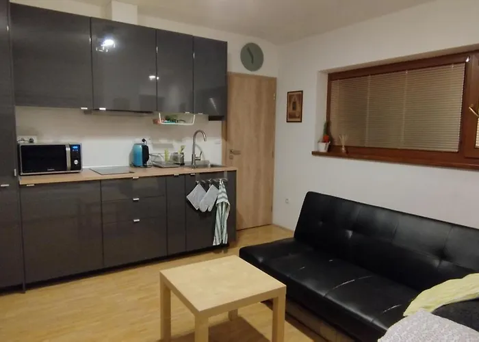 Appartement U Nas *